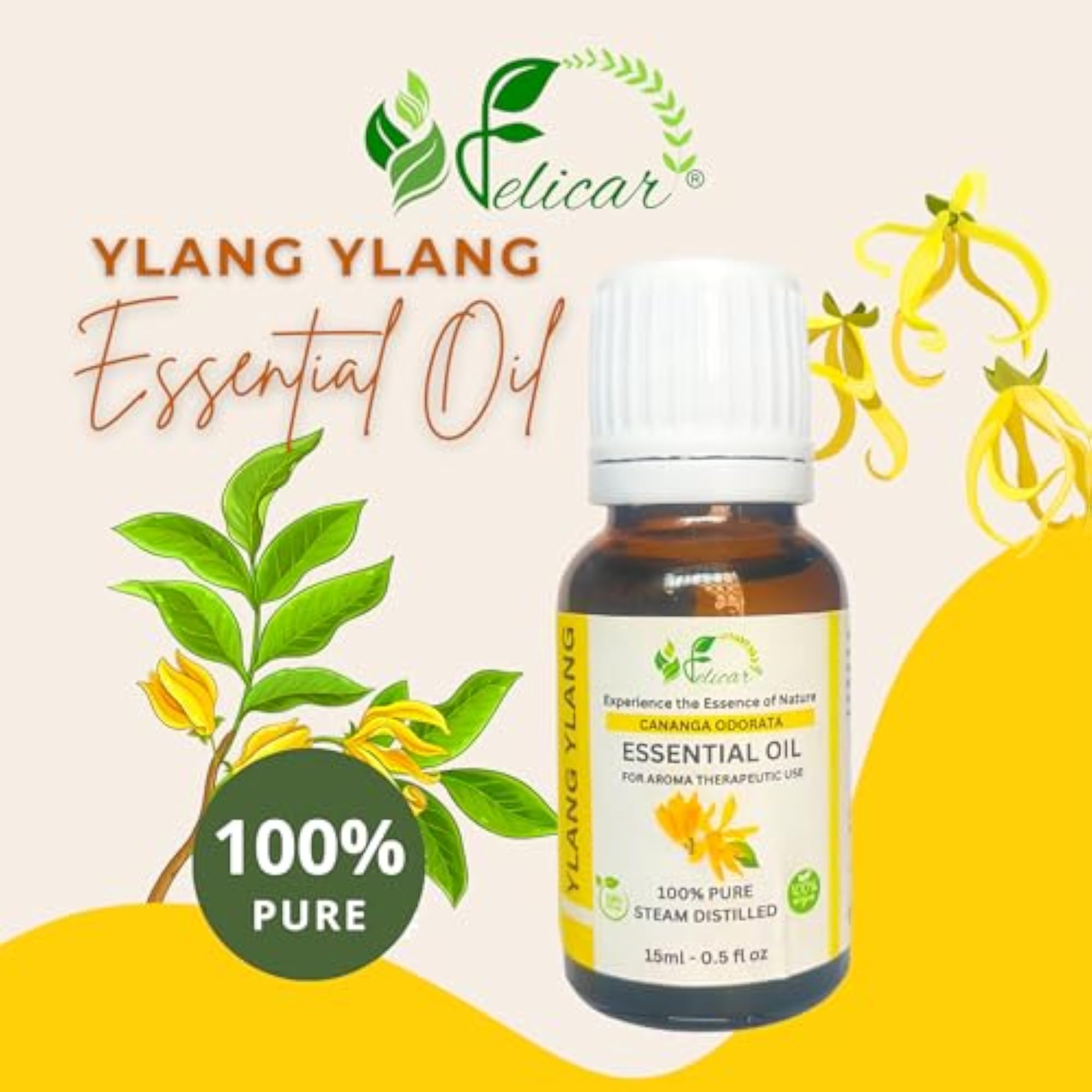 Ylang Ylang Essential Oil 100% Pure Gift